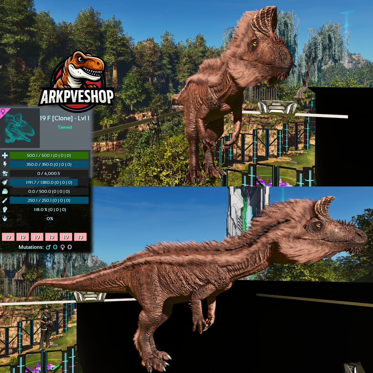 Cryolophosaurus Lvl 1 Clone