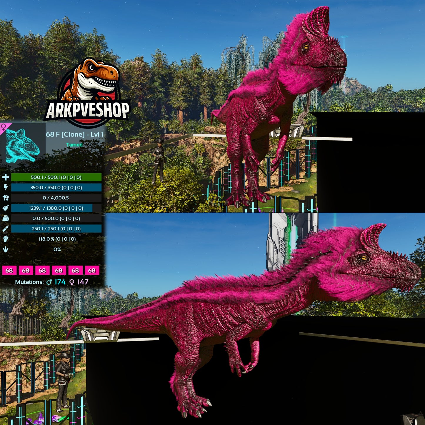 Cryolophosaurus Lvl 1 Clone