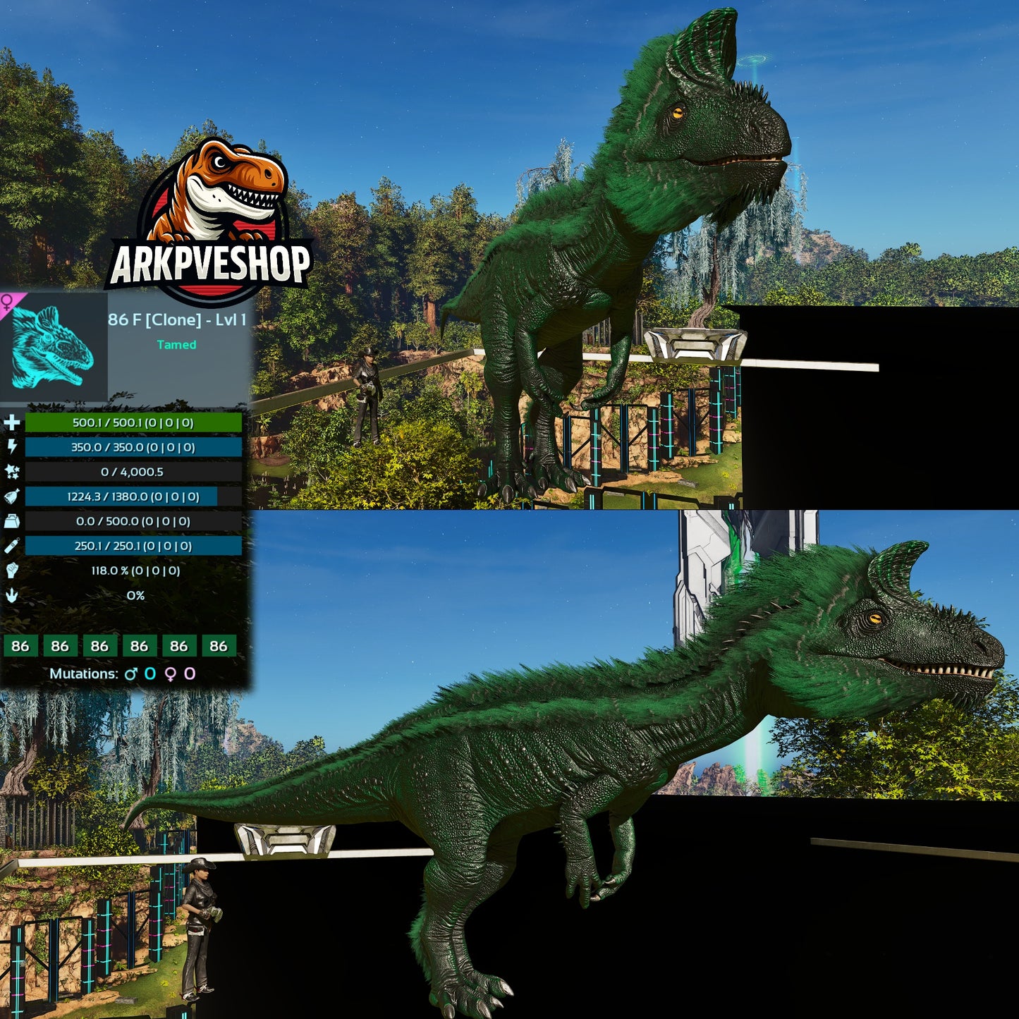 Cryolophosaurus Lvl 1 Clone
