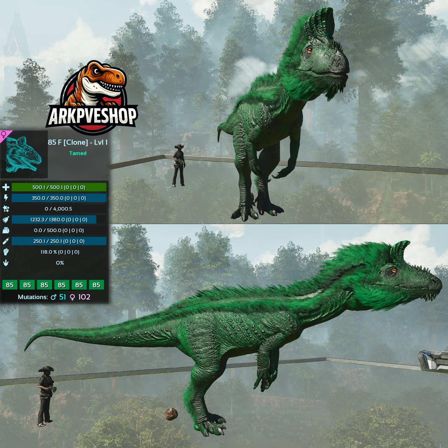 Cryolophosaurus Lvl 1 Clone