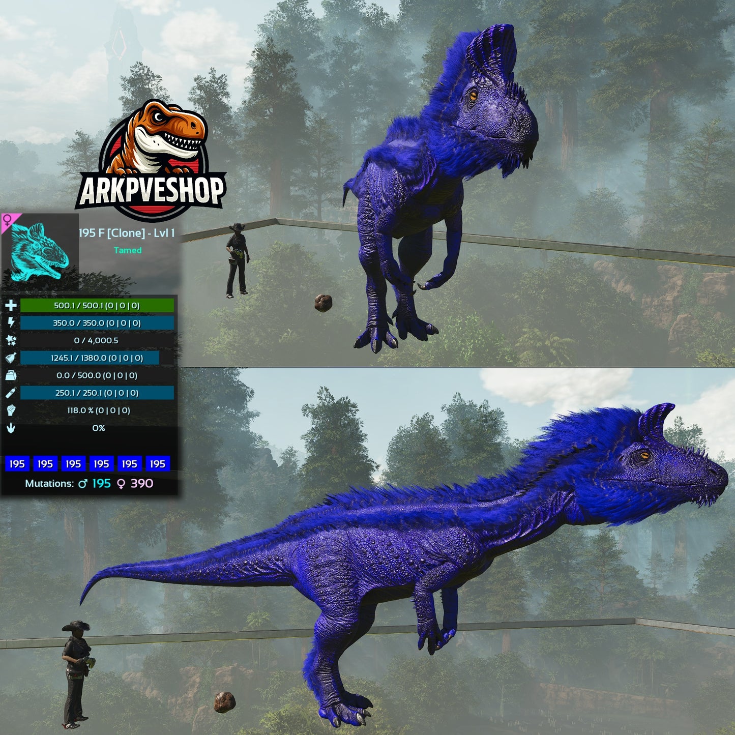 Cryolophosaurus Lvl 1 Clone