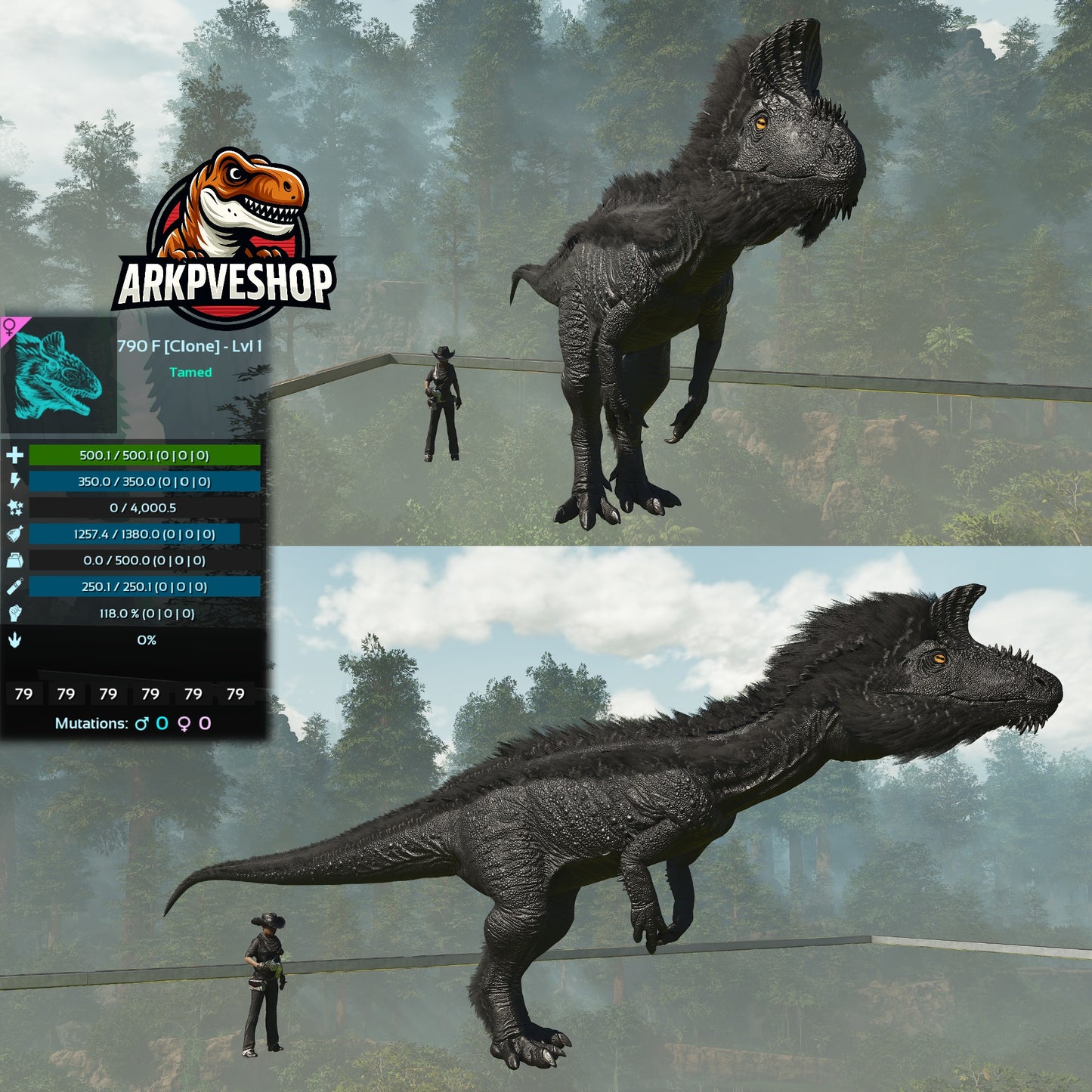 Cryolophosaurus Lvl 1 Clone