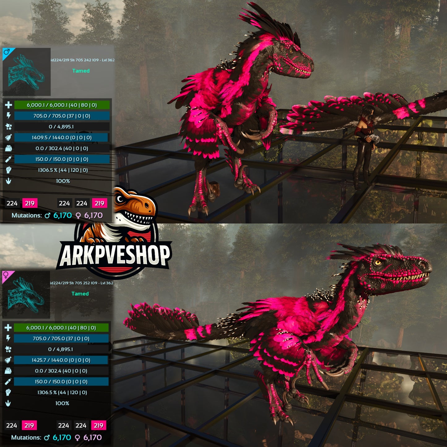 Deinonychus 6khp 705s 1306.5%Melee