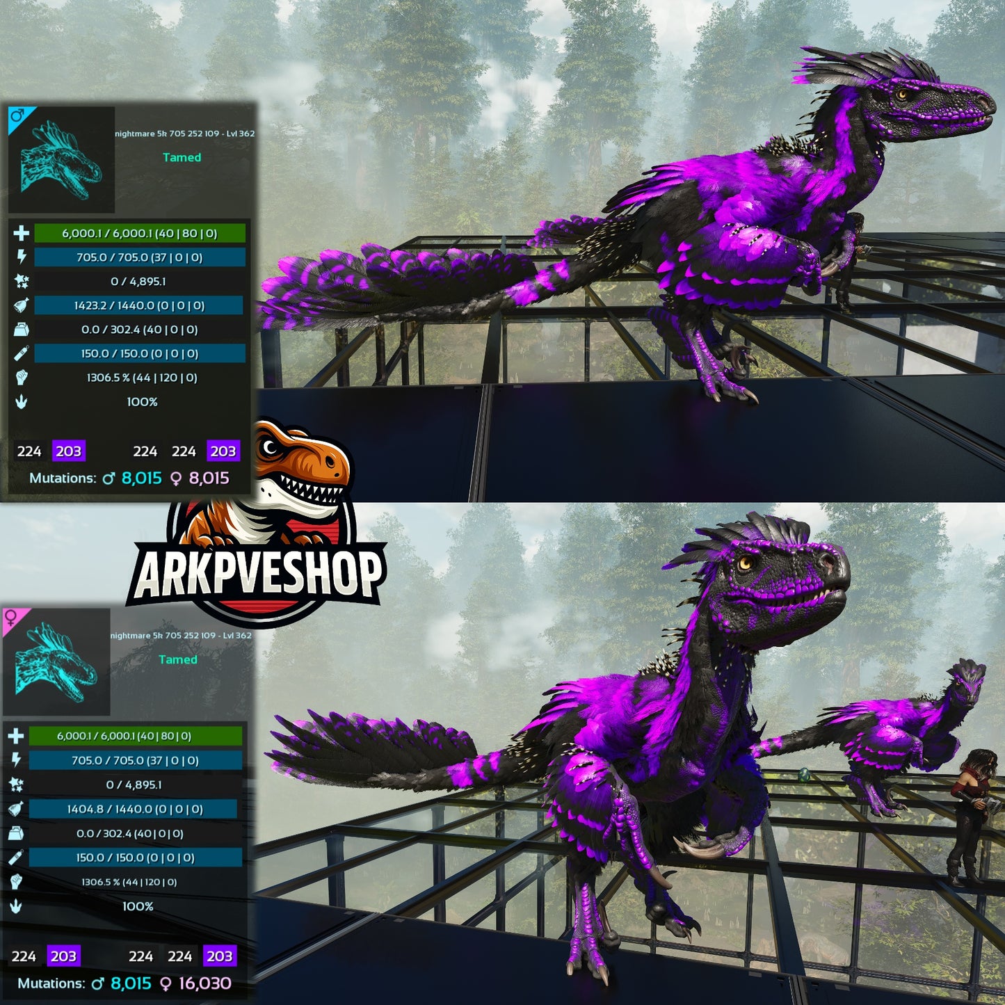 Deinonychus 6khp 705s 1306.5%Melee