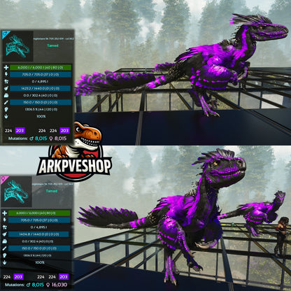 Deinonychus 6khp 705s 1306.5%Melee