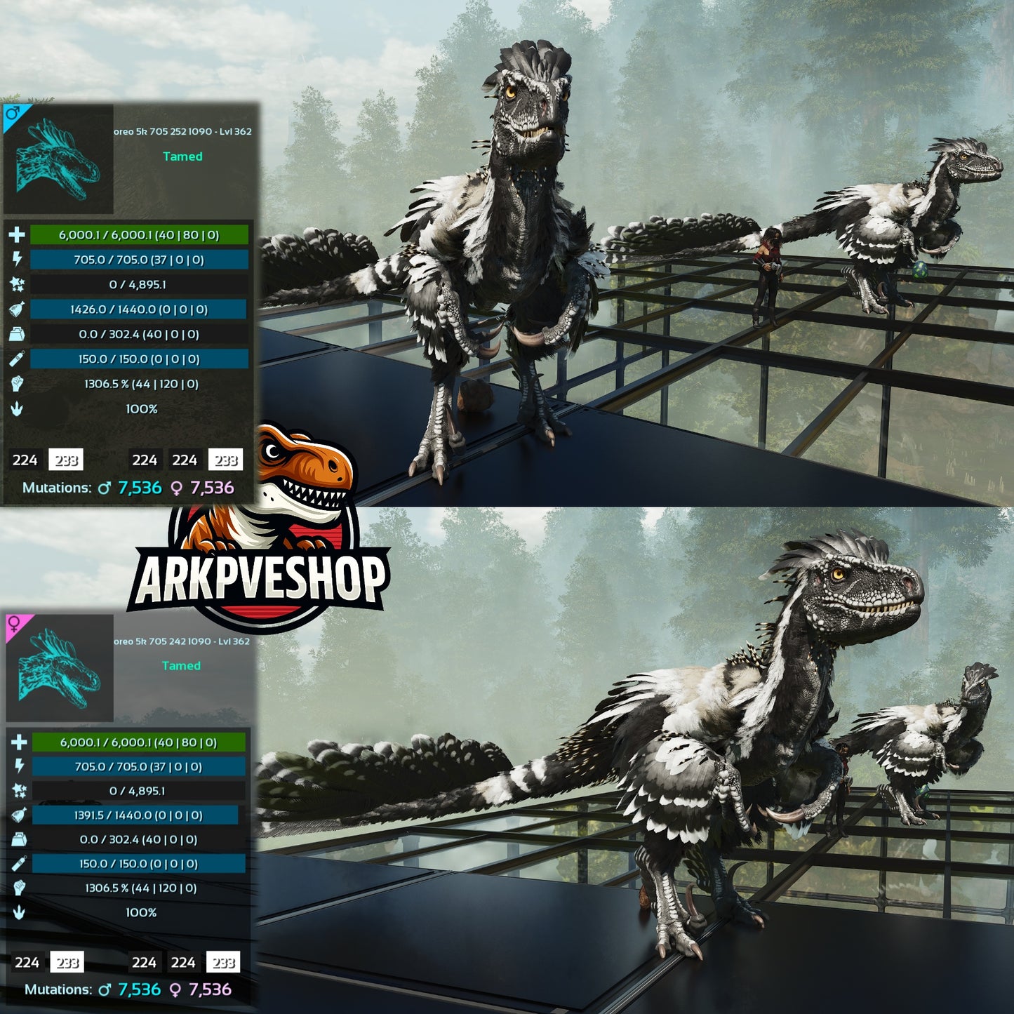 Deinonychus 6khp 705s 1306.5%Melee