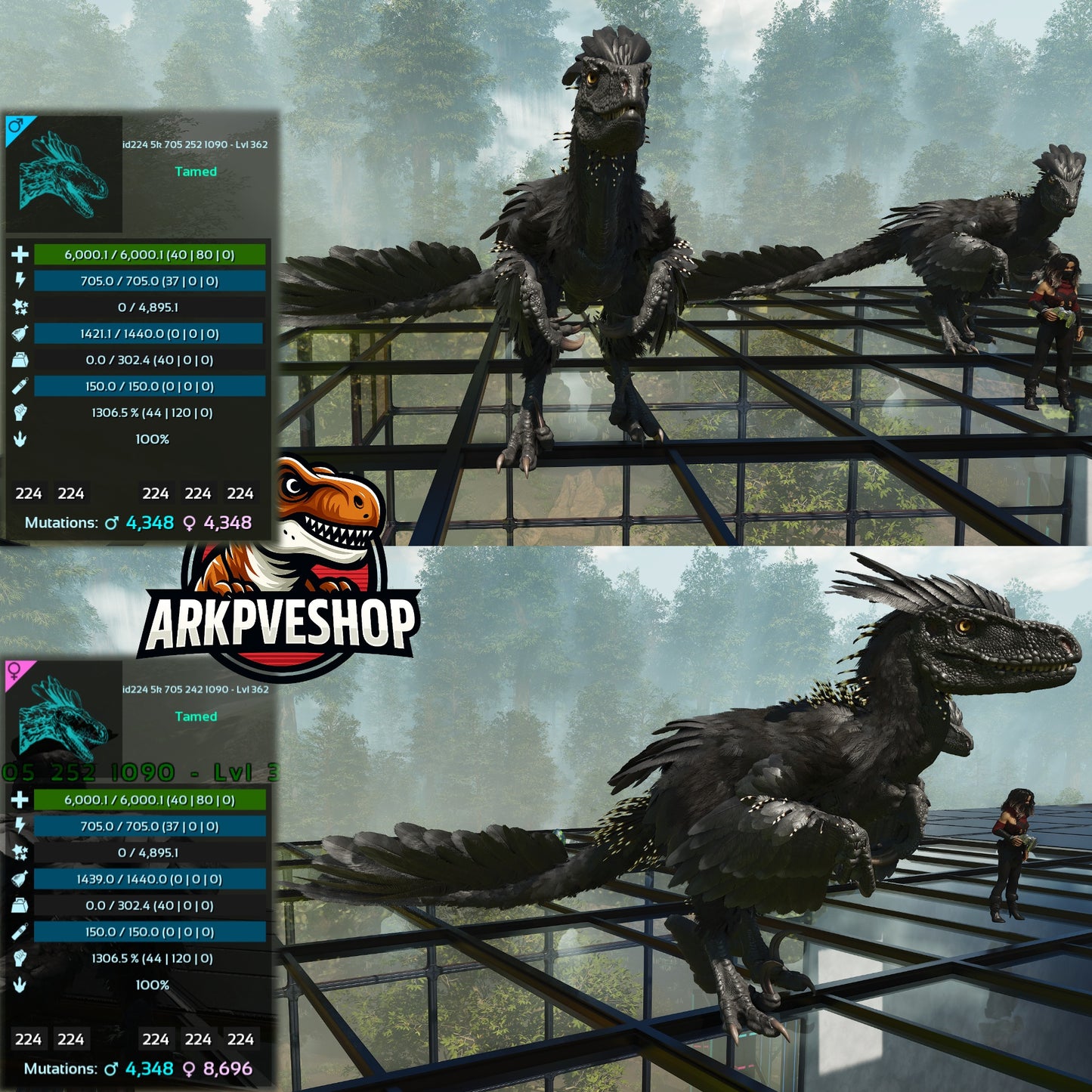 Deinonychus 6khp 705s 1306.5%Melee