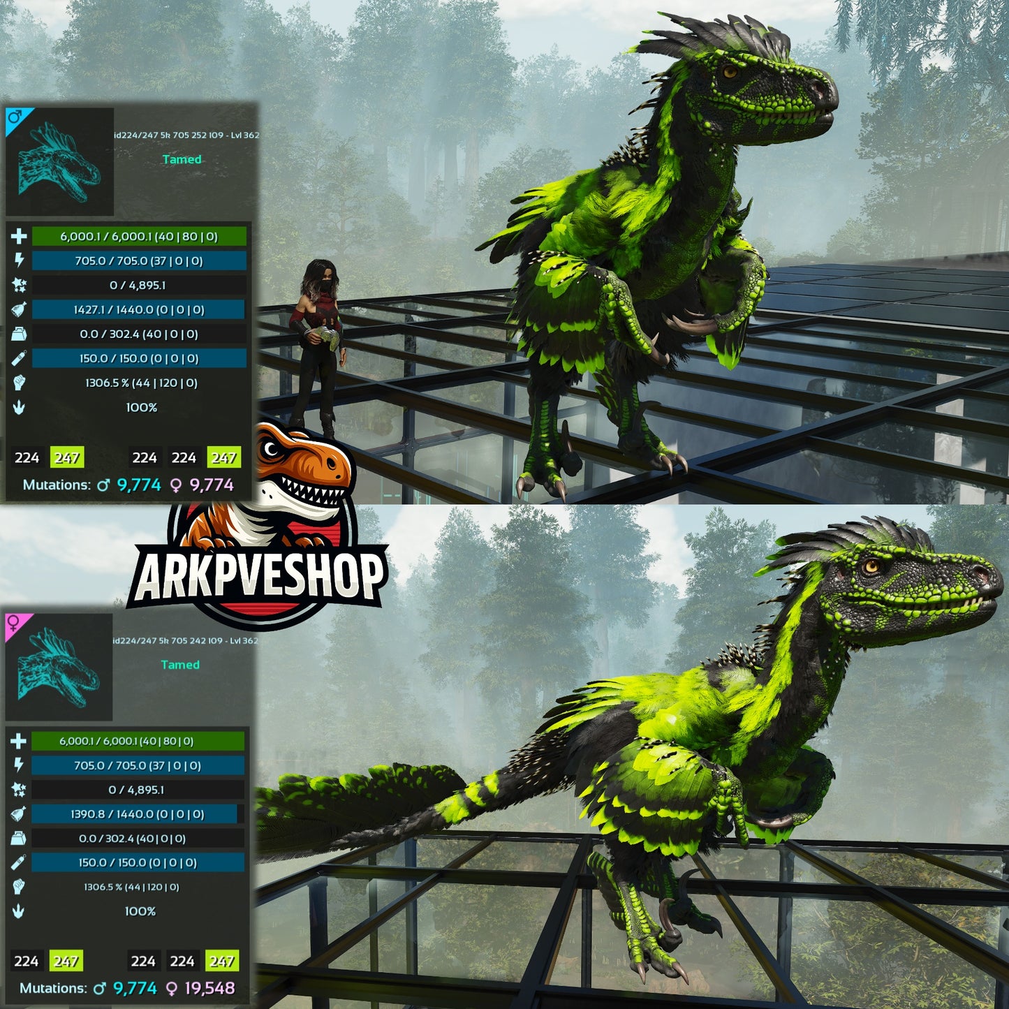 Deinonychus 6khp 705s 1306.5%Melee