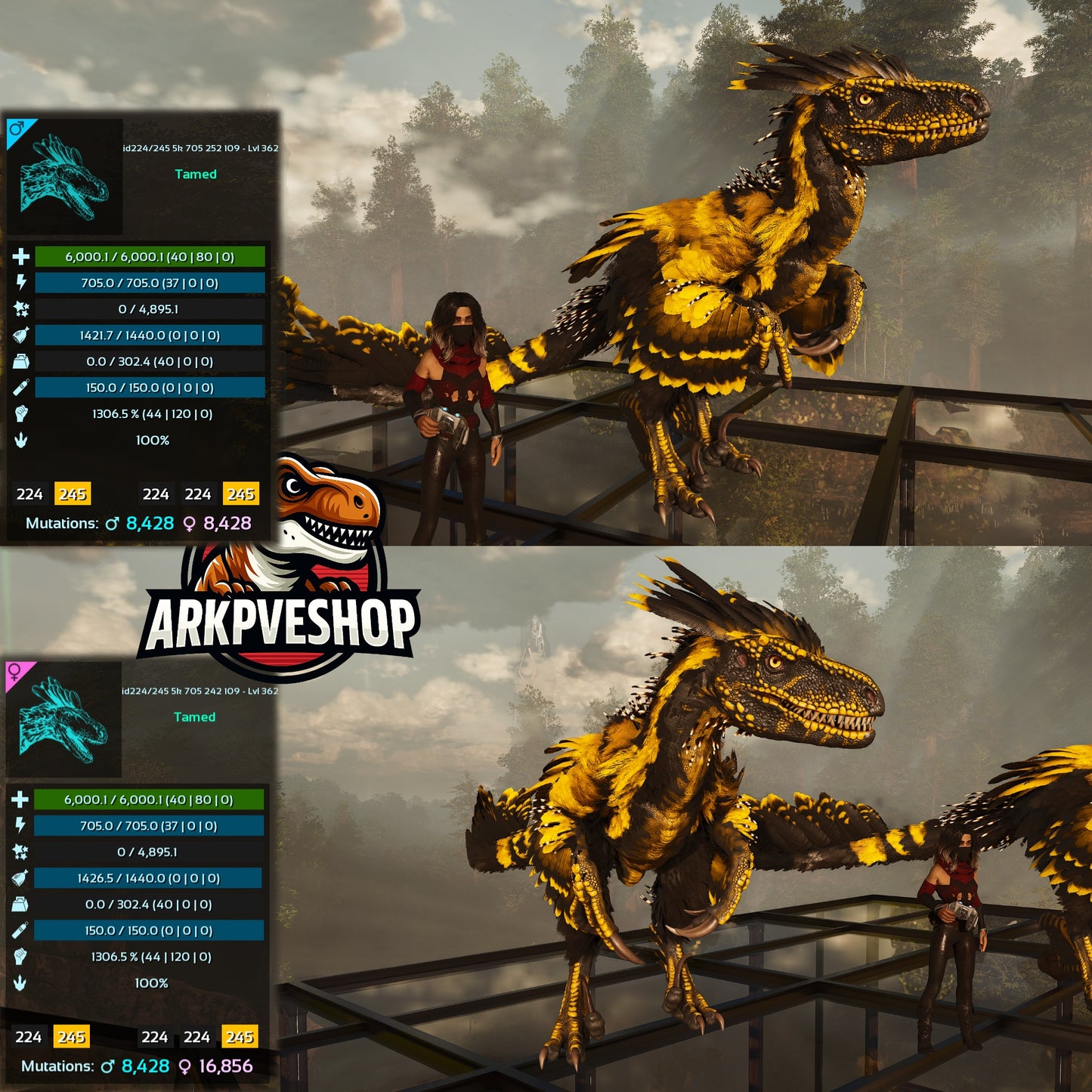 Deinonychus 6khp 705s 1306.5%Melee