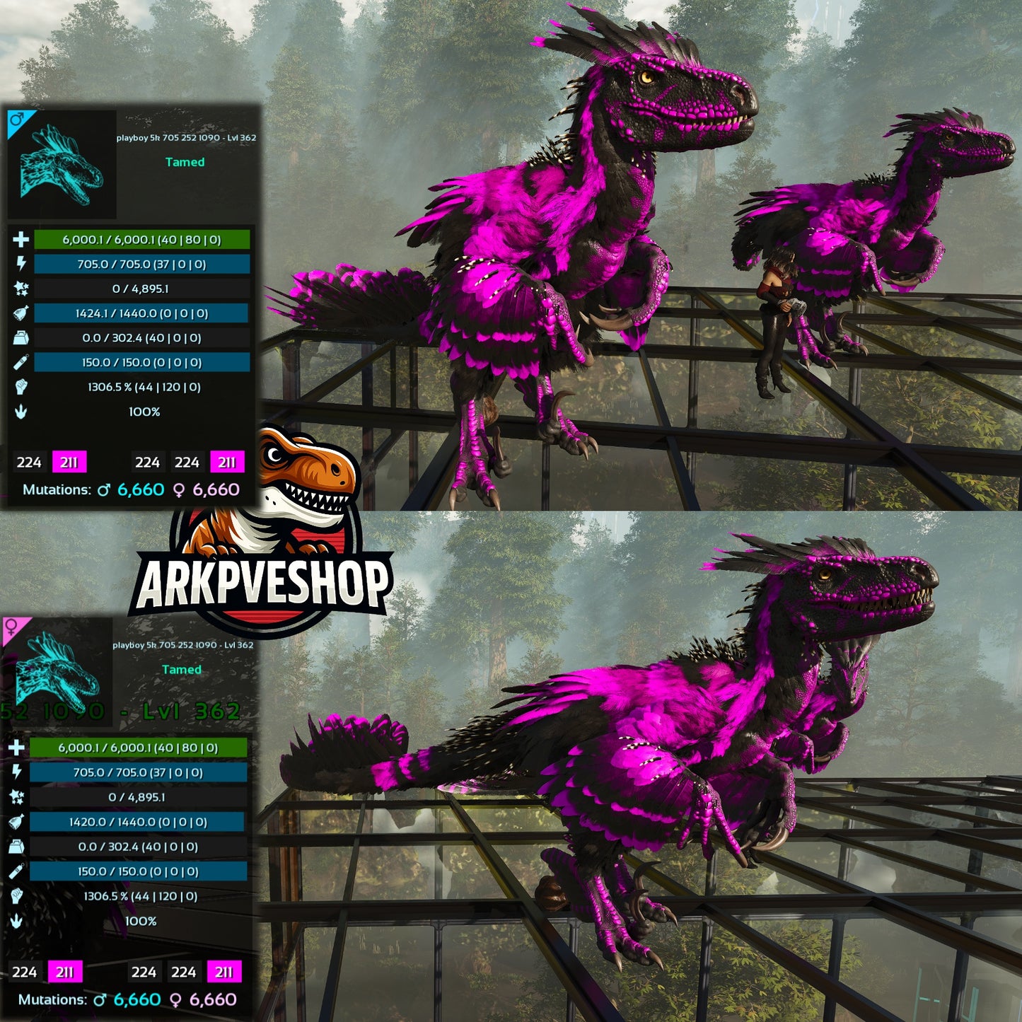 Deinonychus 6khp 705s 1306.5%Melee