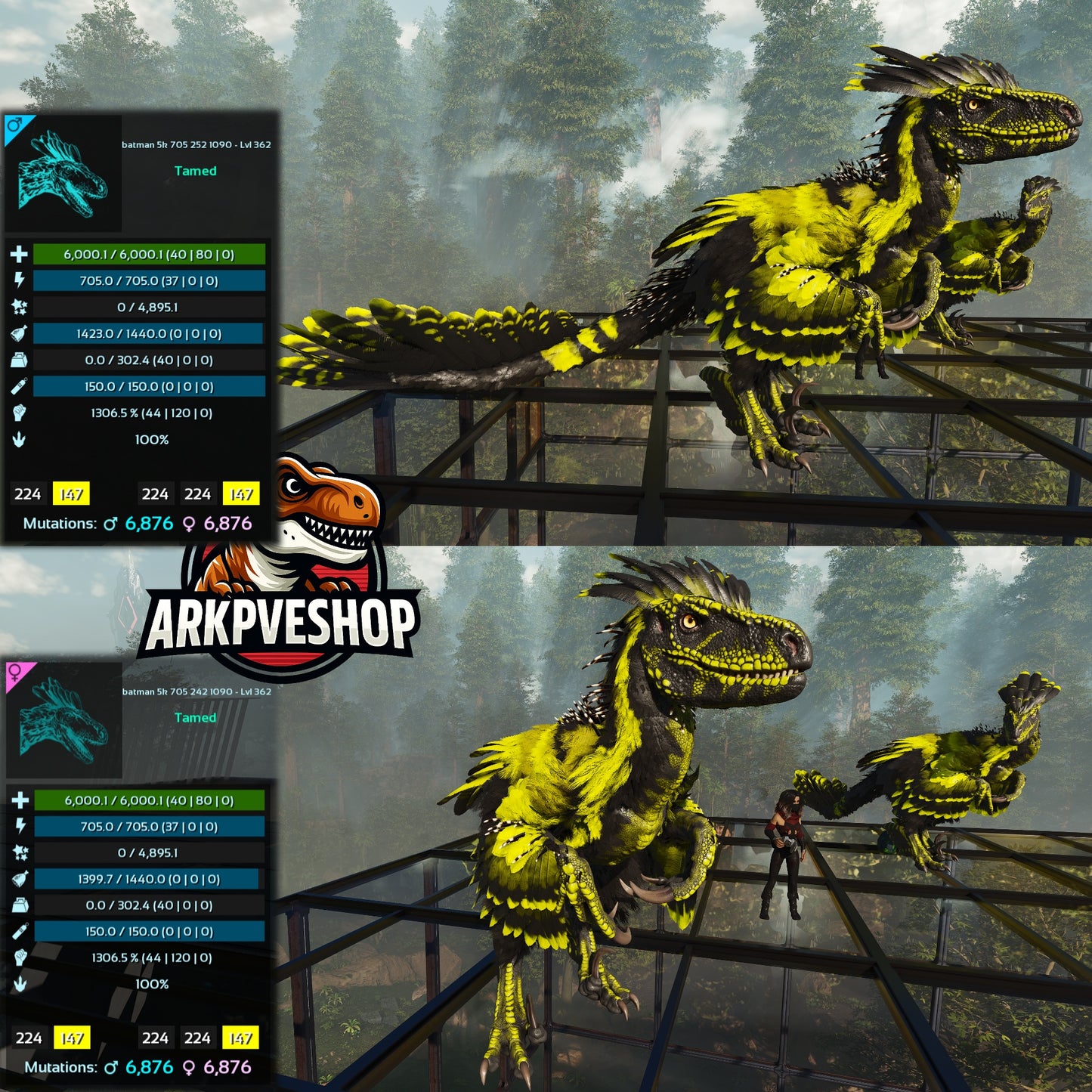 Deinonychus 6khp 705s 1306.5%Melee