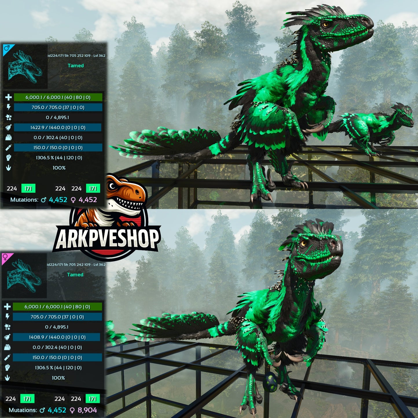 Deinonychus 6khp 705s 1306.5%Melee