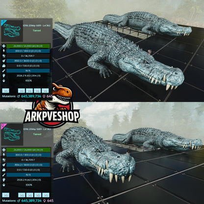 Deinosuchus Deino 2026m or 2428m Red Variant