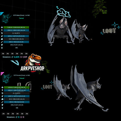 Desmodus Lvl362 696Melee Clone