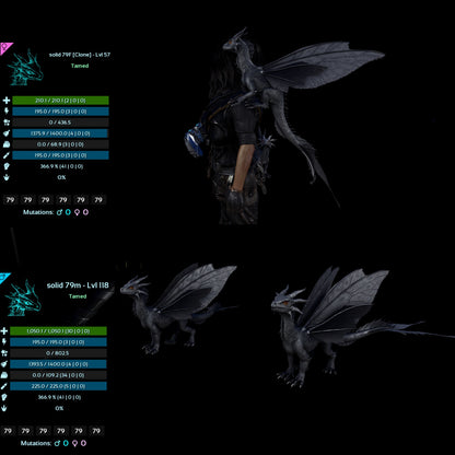 Drakeling High&Low Lvls