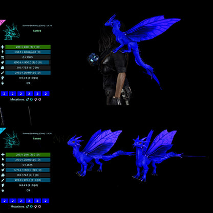 Drakeling High&Low Lvls