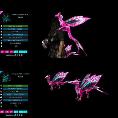 Drakeling High&Low Lvls