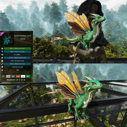 Drakeling High&Low Lvls