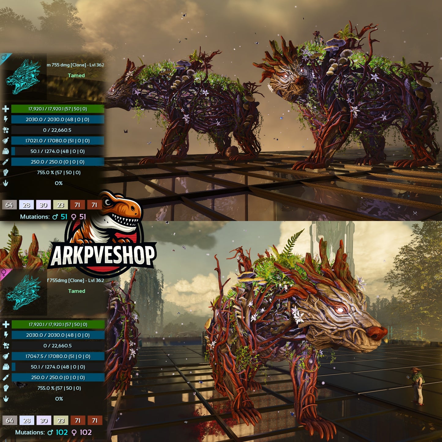 Elderclaw Lvl 362 Clone