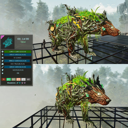 Elderclaw High & Low Lvls