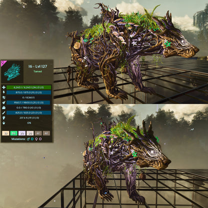 Elderclaw High & Low Lvls