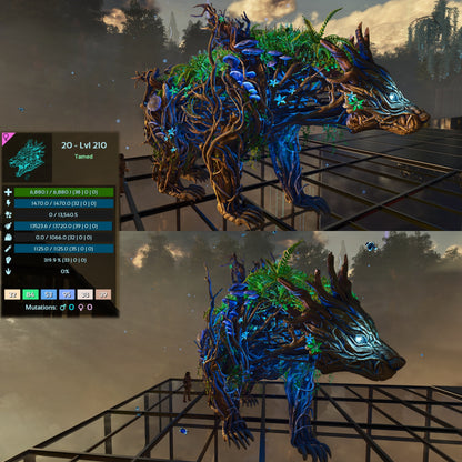 Elderclaw High & Low Lvls