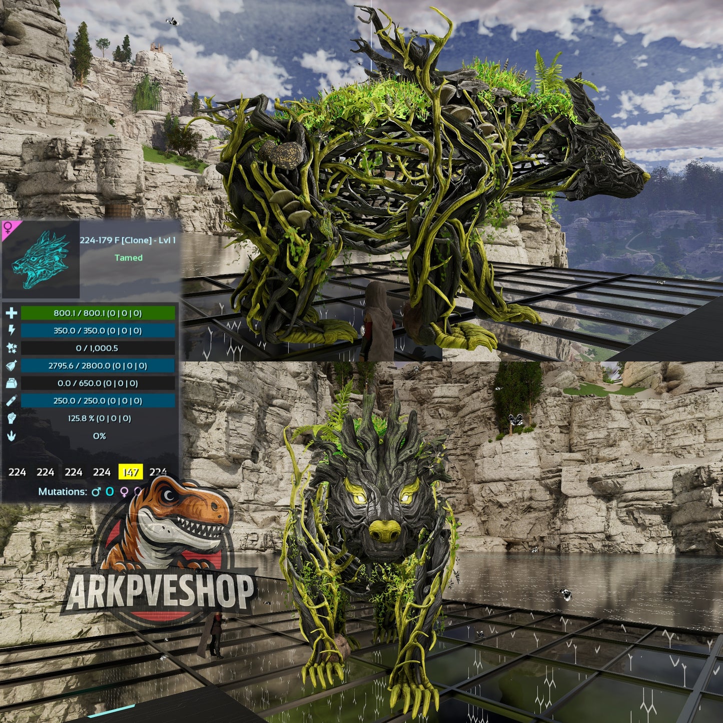 Elderclaw Lvl 1 Clone