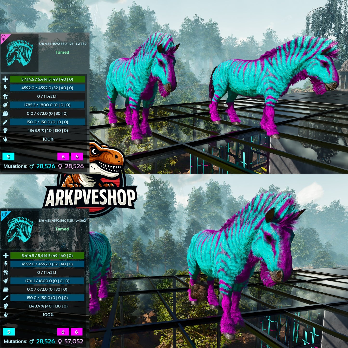Equus Horses  1348%melee