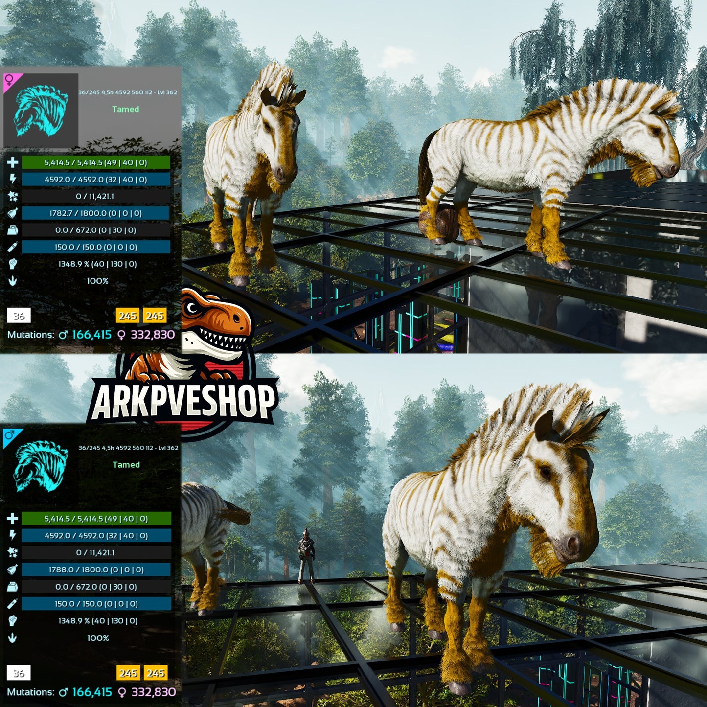 Equus Horses  1348%melee