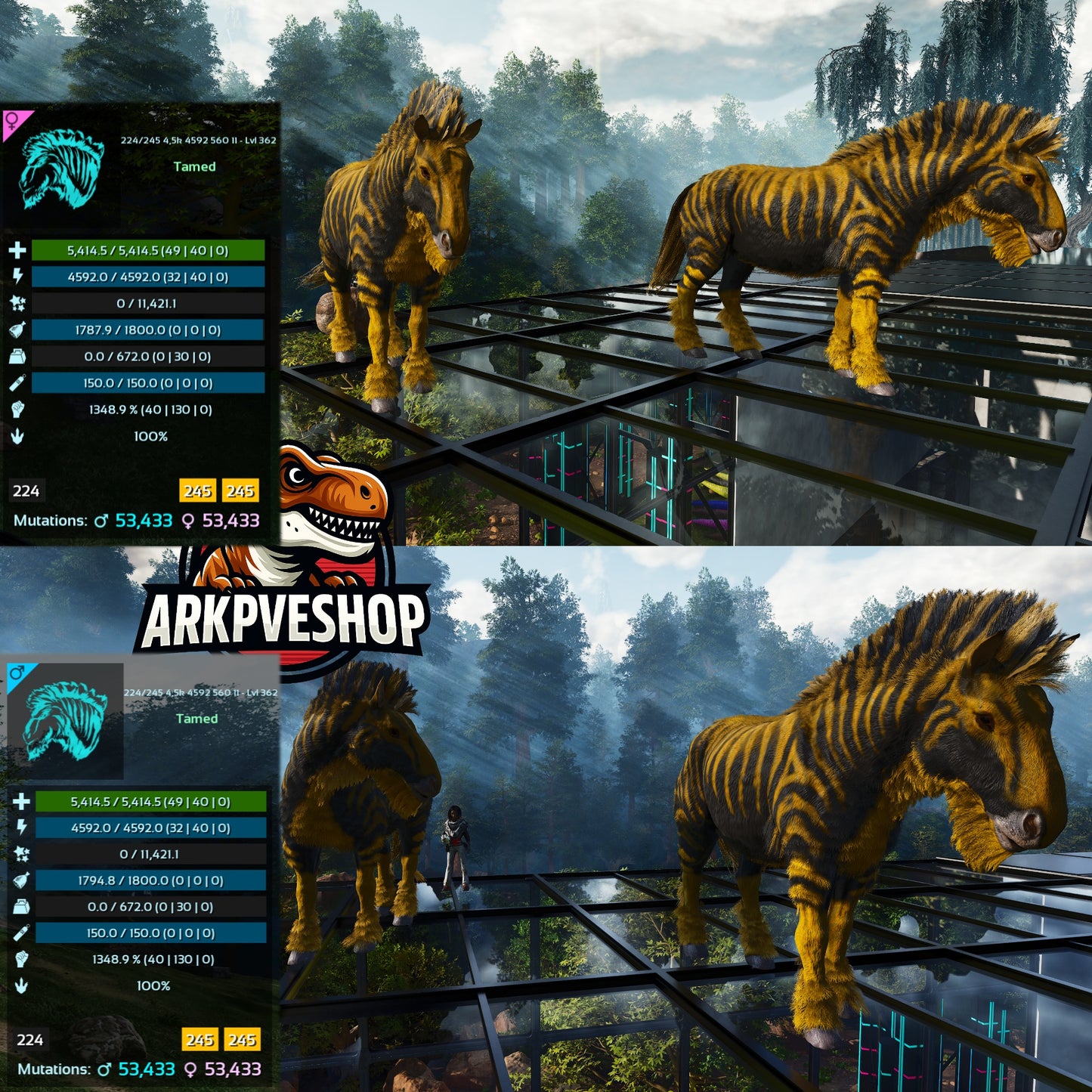 Equus Horses  1348%melee