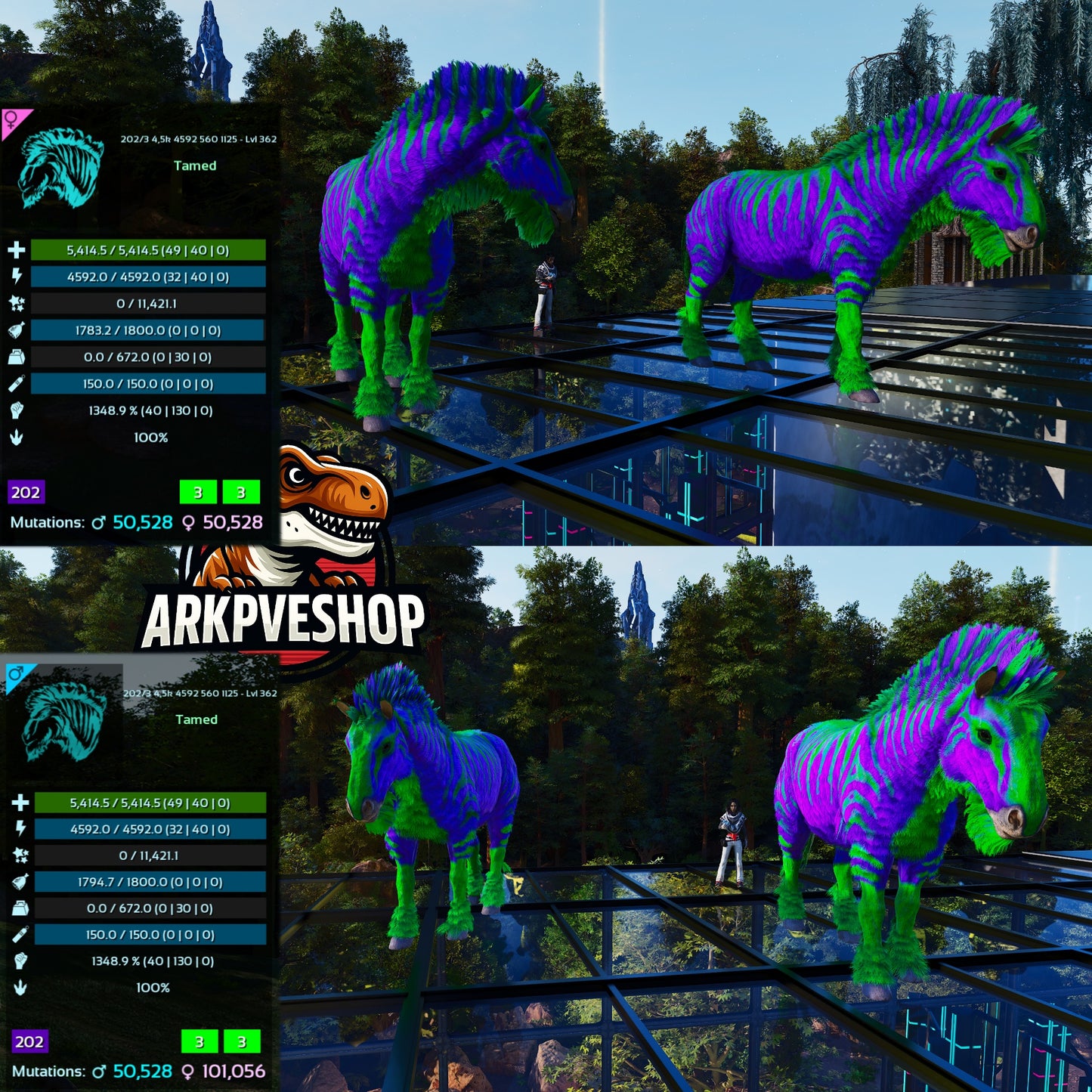 Equus Horses  1348%melee
