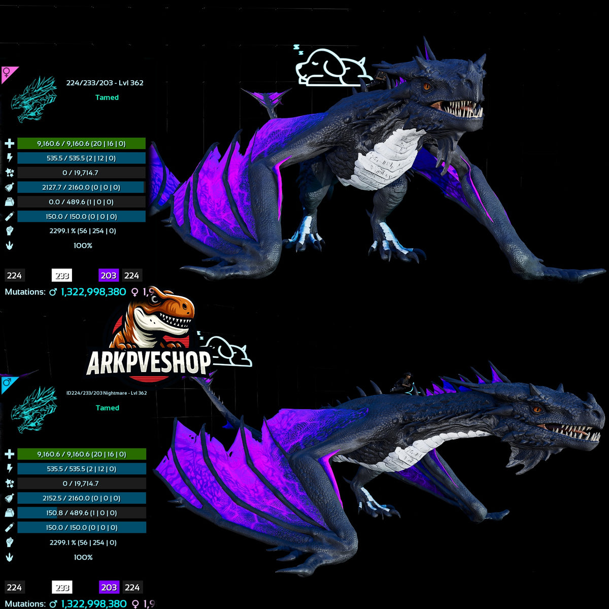 Fire Wyvern Mix Colour  2299.1% Melee