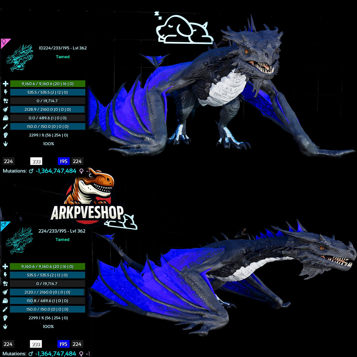 Fire Wyvern Mix Colour  2299.1% Melee