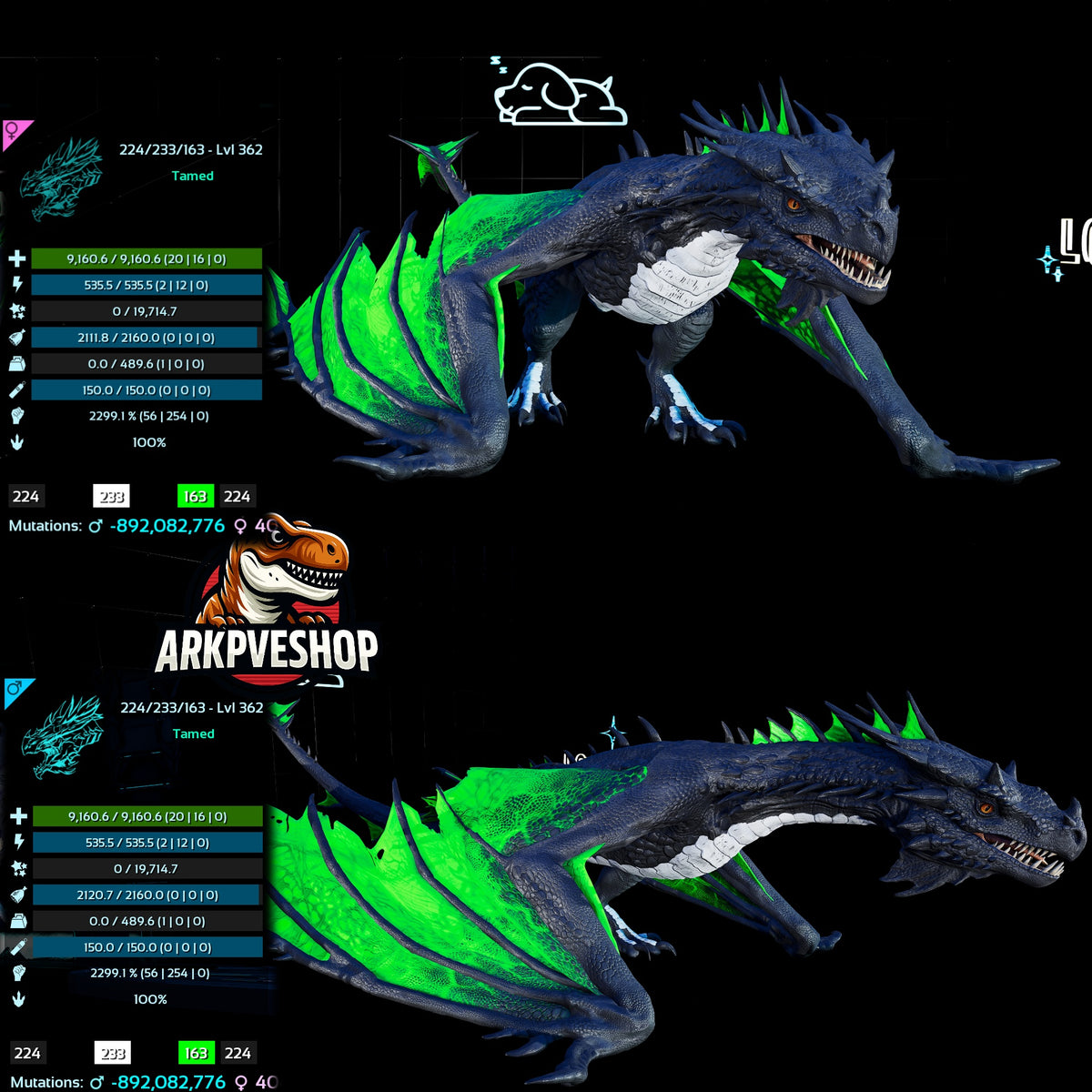 Fire Wyvern Mix Colour  2299.1% Melee