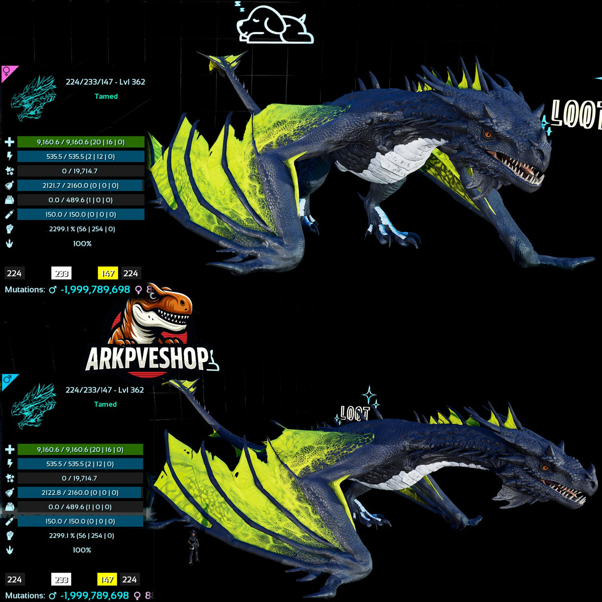 Fire Wyvern Mix Colour  2299.1% Melee