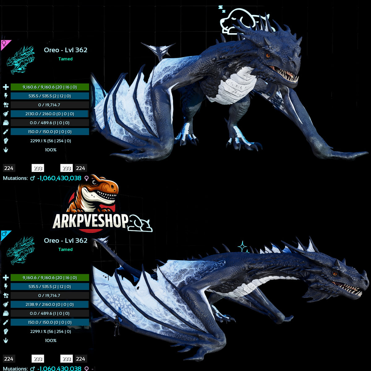 Fire Wyvern Mix Colour  2299.1% Melee