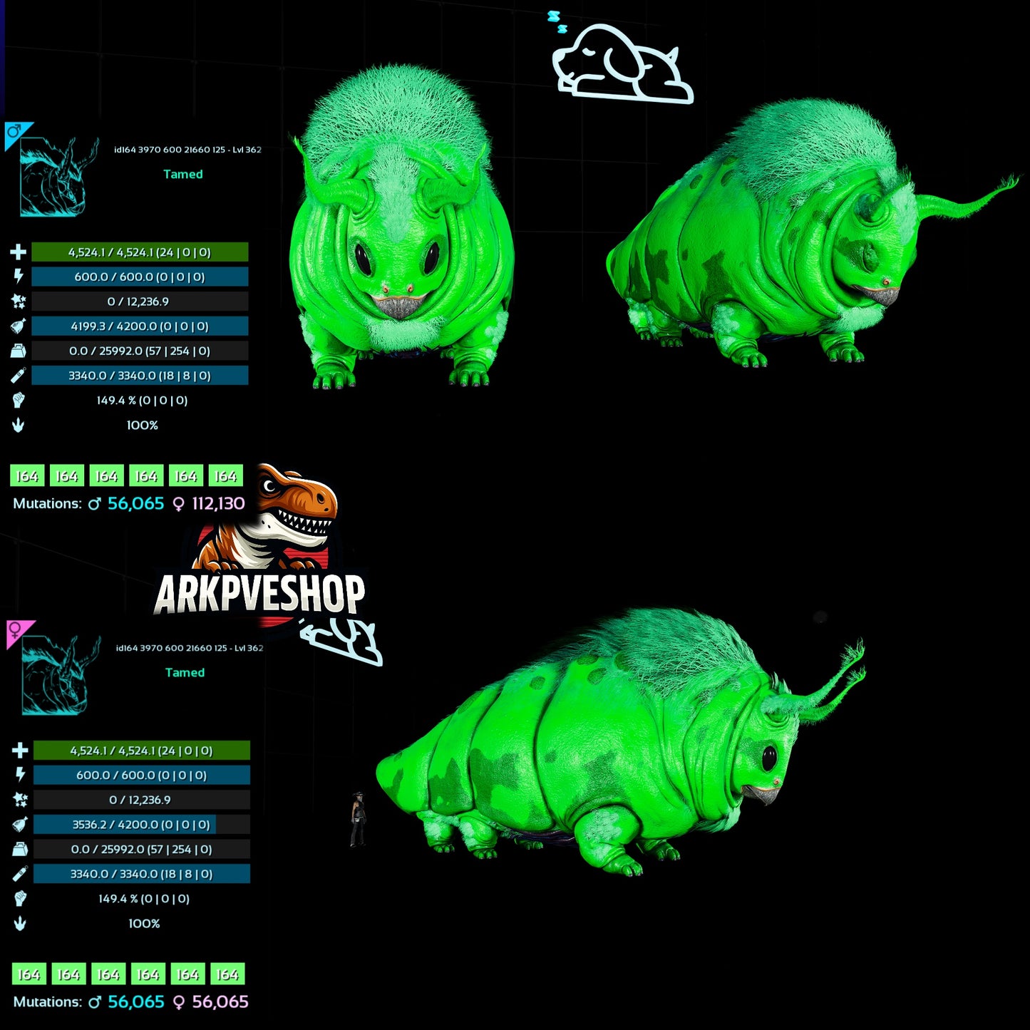 Gasbag 362Lvl Top Weight