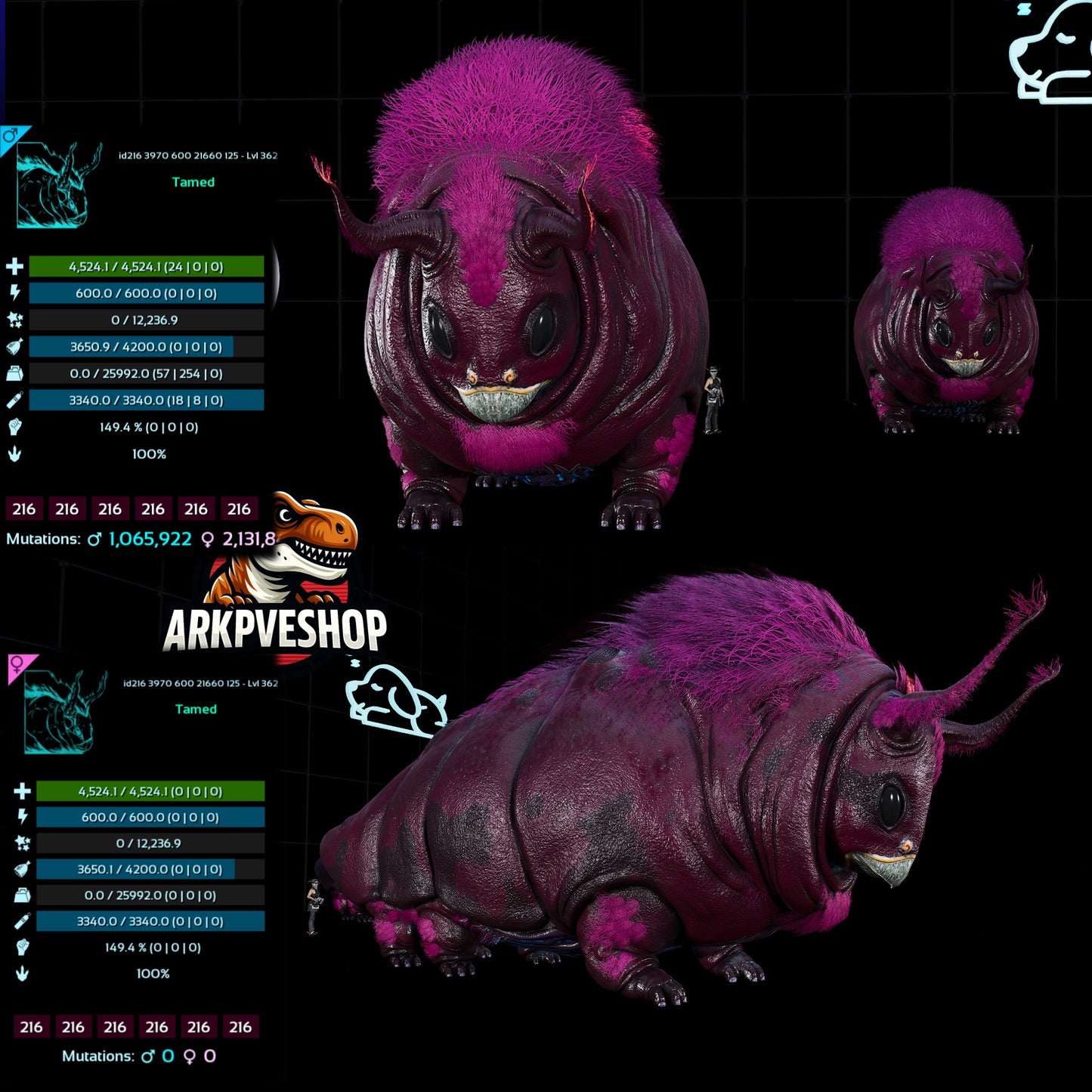 Gasbag 362Lvl Top Weight