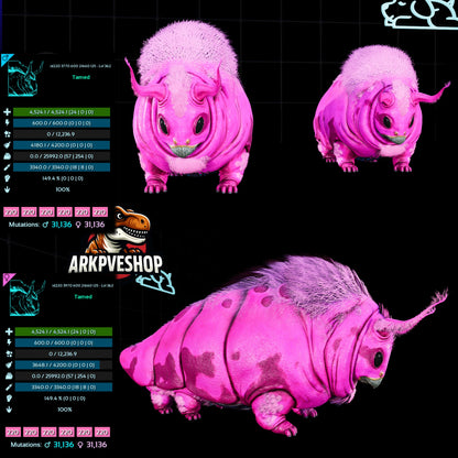 Gasbag 362Lvl Top Weight