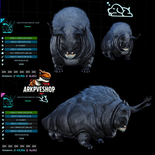 Gasbag 362Lvl Top Weight