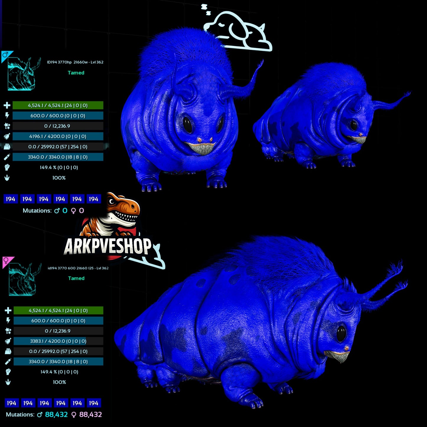 Gasbag 362Lvl Top Weight