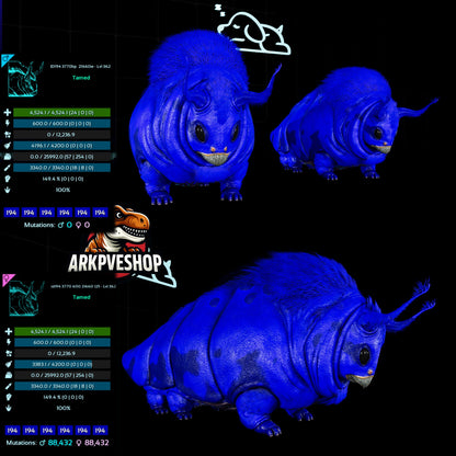 Gasbag 362Lvl Top Weight