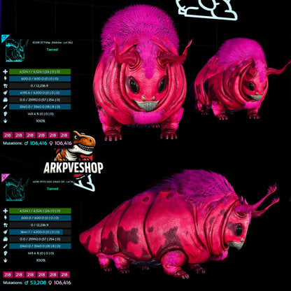 Gasbag 362Lvl Top Weight