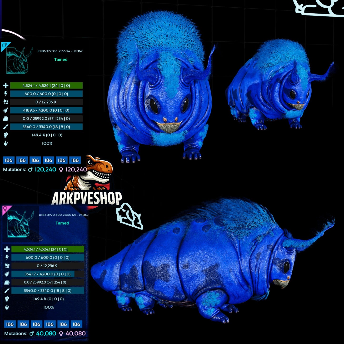 Gasbag 362Lvl Top Weight