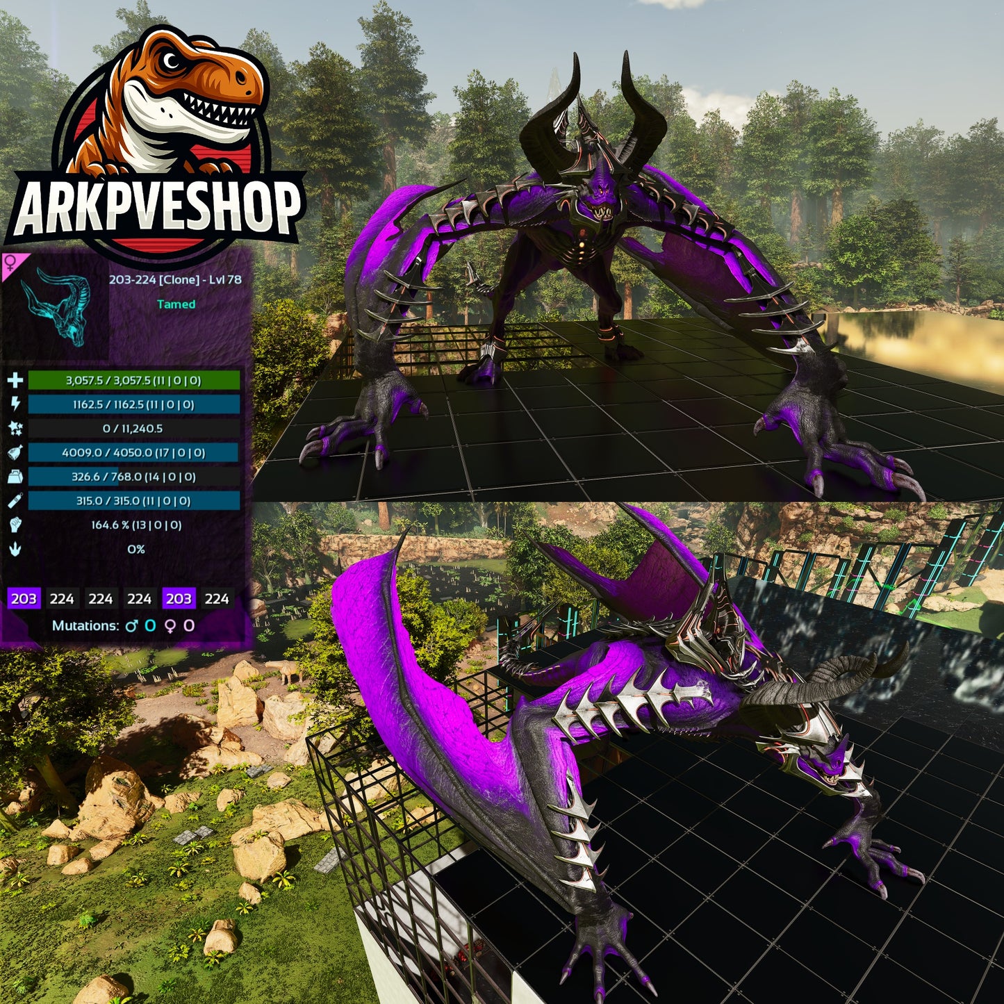 Gigadesmodus Clone Mix Colours