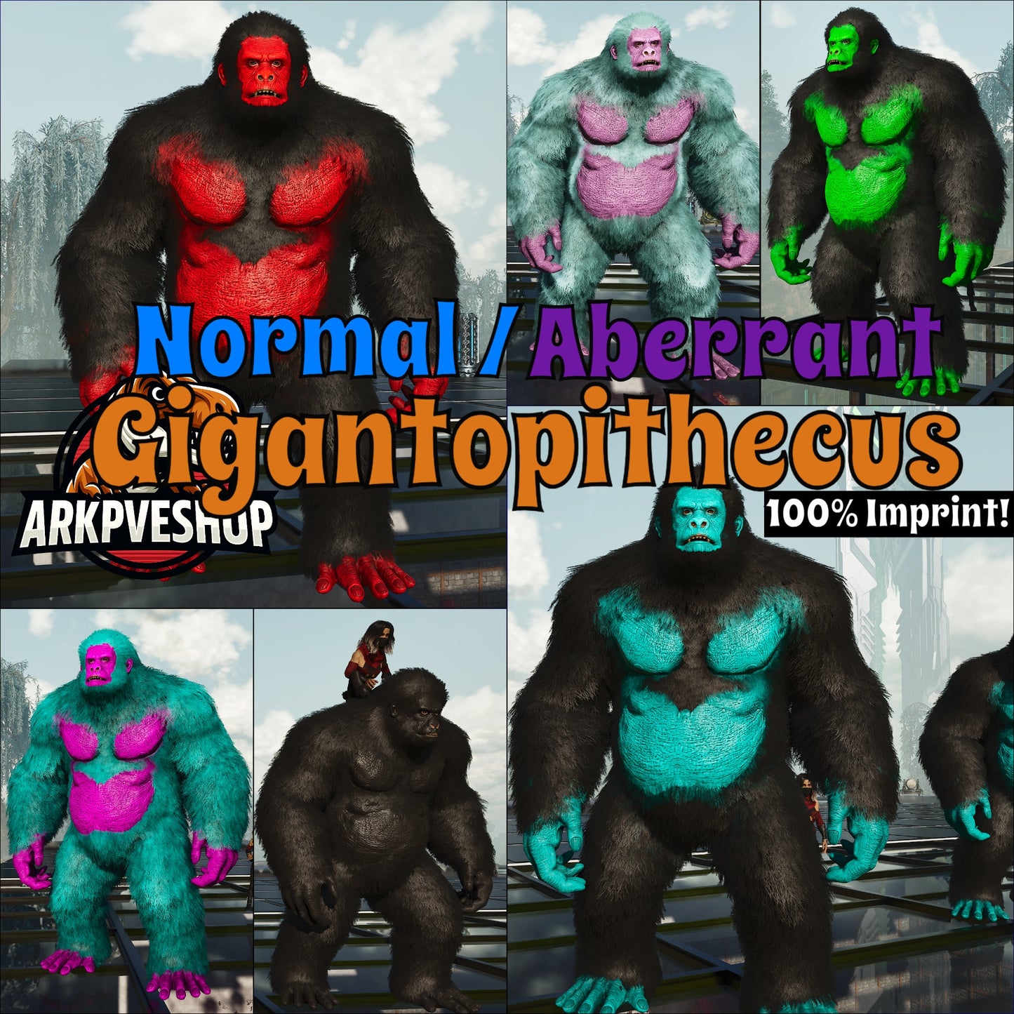 Aberrant or Normal Gigantopithecus
