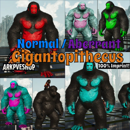 Aberrant or Normal Gigantopithecus