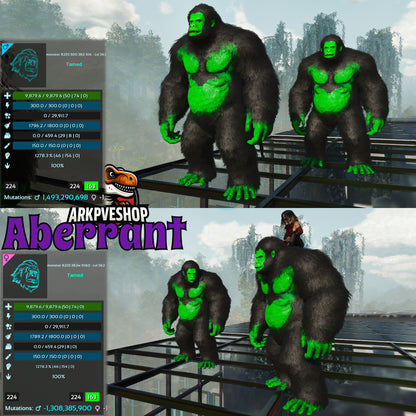 Aberrant or Normal Gigantopithecus