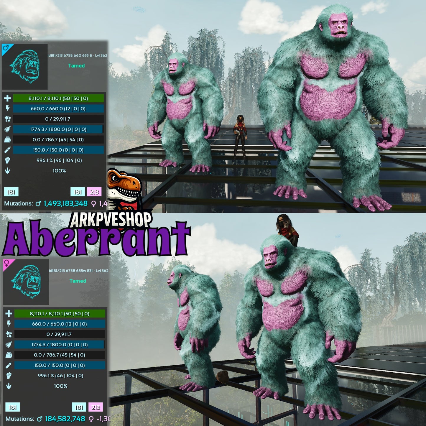 Aberrant or Normal Gigantopithecus