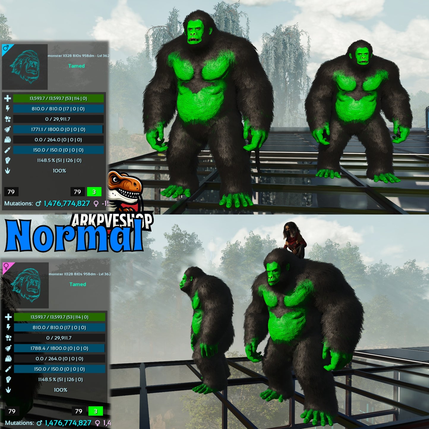 Aberrant or Normal Gigantopithecus